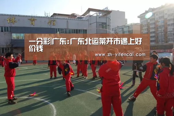 一分彩|广东:广东北运菜开市遇上好价钱