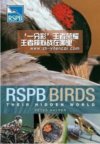 ‘一分彩’王者荣耀王者模拟战在哪里 王者模拟战怎么进(图1) 一分彩
