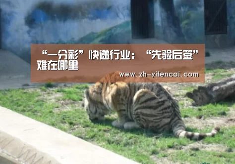 “一分彩”快递行业:“先验后签”难在哪里(图1) 一分彩