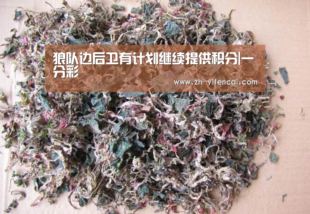 狼队边后卫有计划继续提供积分|一分彩(图4) 一分彩