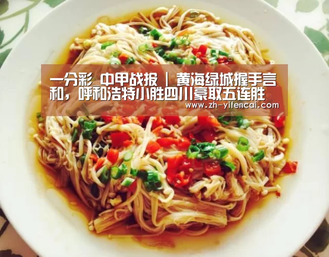 一分彩_中甲战报 | 黄海绿城握手言和,呼和浩特小胜四川豪取五连胜(图3) 一分彩