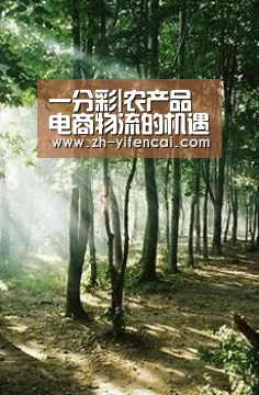 一分彩
