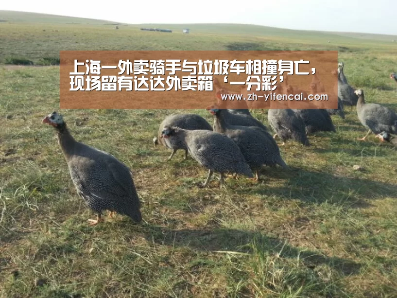 上海一外卖骑手与垃圾车相撞身亡,现场留有达达外卖箱‘一分彩’(图2) 一分彩