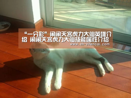 一分彩
